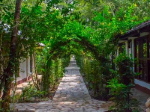 Chan-Kah Resort Village Convention Center & Maya Spa فنادق في بالينكي
