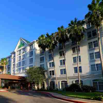 윈덤 가든 맥알렌 앳 라 플라자 몰 Hotel Exterior