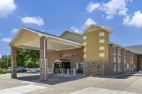 Comfort Inn Hastings Hotels in Hastings