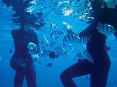 その他 リザンシーパークホテル谷茶ベイの写真