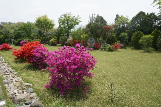 비교 분석 이미지 2