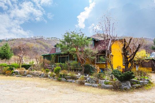 횡성호수길 풍경