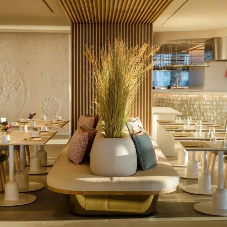 Plus Fariones Suite Hotel