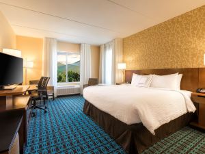 Fairfield Inn & Suites Asheville Tunnel Road