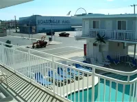 Stardust Motel - parking