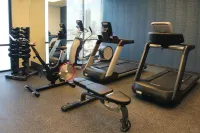 City Express Plus by Marriott Monterrey Centro - ジム