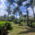 CABAÑAS EL PARAISO EN FILANDIA