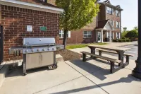 TownePlace Suites Detroit Sterling Heights - Wifi
