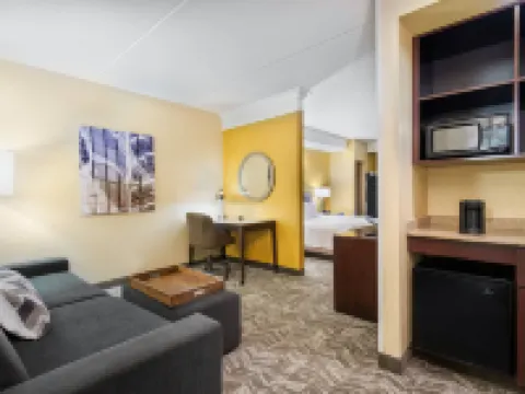 惠靈特瑞阿德爾福亞地區萬豪SpringHill酒店 惠靈酒店