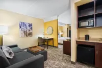 SpringHill Suites Wheeling Triadelphia Area Hotels in Wheeling