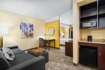 SpringHill Suites Wheeling Triadelphia Area
