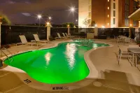 Hampton Inn & Suites Dallas-Lewisville/Vista Ridge Mall - Pools