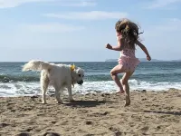 Sundog Cottage - Clean & Cozy - EV - Walk to Food & Beach - Fenced Yard for Dog Hotels in Dillon Beach