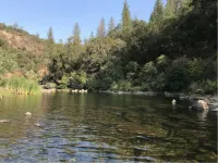 Chillin' By The River