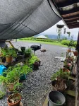 Daintree Holiday Homes - La Vista - Private Pool & Jet Spa - Ocean Views