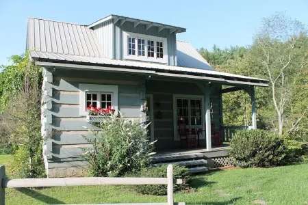 Blue Ridge Mountain 'Solitude' on The Little River Отели в г. Гэп Сивил