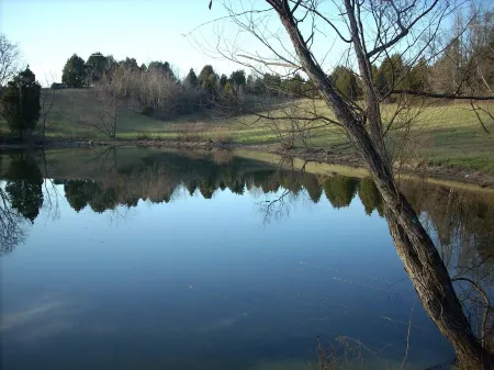 Charming cottage on 65 rolling acres