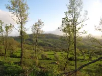 The cherry tree Podere il Giglio: Romantic apartment on the hills and swimming pool