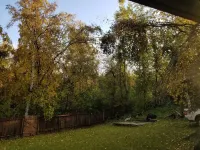 Happy Bear Cozy Bungalow with Large Back Yard close to Anchorage Wasilla Hotel in zona Paint a Scarf Alaska