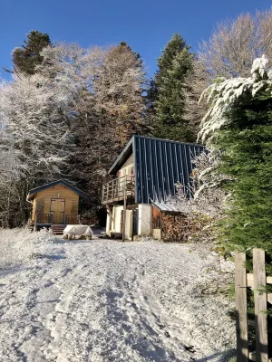 Charming chalet in the Forez mountains