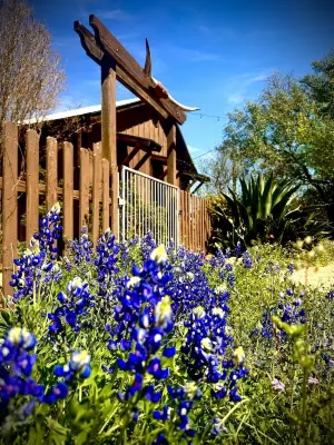El Castell on the Llano River [Cabins C + D]