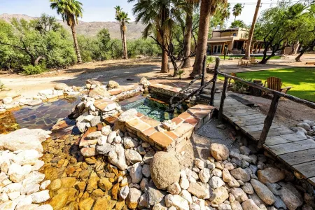 Tucson's Hot Springs at The Oasis. Tucson's only private hot springs and oasis.