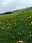 Cozy vacation apartment in the beautiful Ore Mountains in the town of the 7 valleys.