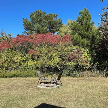 Waterfowl Watch Cottage - Chincoteague Island Quiet Area,Bikes, Spend Christmas