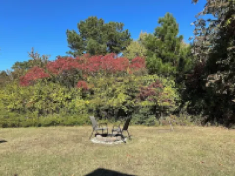 Waterfowl Watch Cottage - Chincoteague Island Quiet Area,Bikes, Spend Christmas