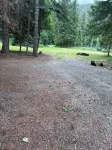 Up River Getaway. Complete 30/50 RV Site. Hike, Fish, Float, Relax!