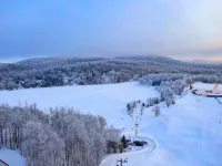 Ski-in ski-out 1 Bdrm Chalet w sauna on slopes & lake - sleeps 2