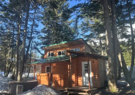 Alyeska Spruce Cabin