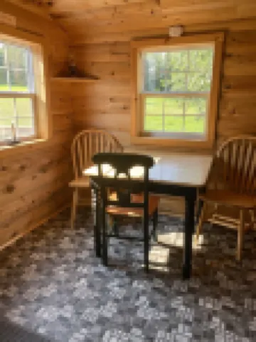 Cozy Little Cabin sleeps 4