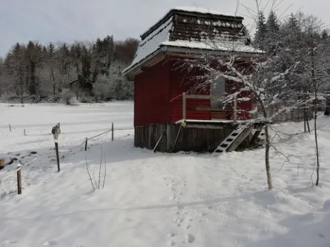Petit Chalet Pentagonal Entre Prés et Forêt