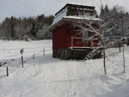 Petit Chalet Pentagonal Entre Prés et Forêt