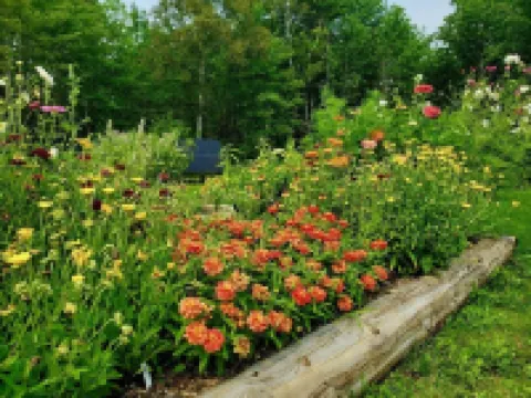 Cozy Cabin By The Pond, Sleeps 2