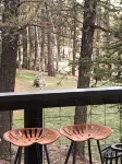 Rock Rest Eco-Cabin on 2 acre forested lot. Mins from Wolf & Wildlife Sanctuary.