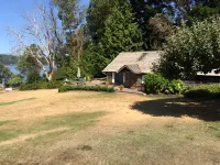 Bainbridge Island Water's Edge Log Cabin just feet from the beach!  Pet Friendly Hotel a Bainbridge