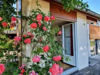 On your terrace at the foot of an oak tree, feel the Alsace's vibes ! 巴爾住宿飯店