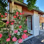 On your terrace at the foot of an oak tree, feel the Alsace's vibes !