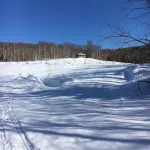 Mountain  side cabin views of sunsets every day  nearest neighbor is a mile away