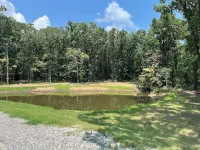 Remote Cabin Hideaway in the woods close to the lake, walking trails, and casino