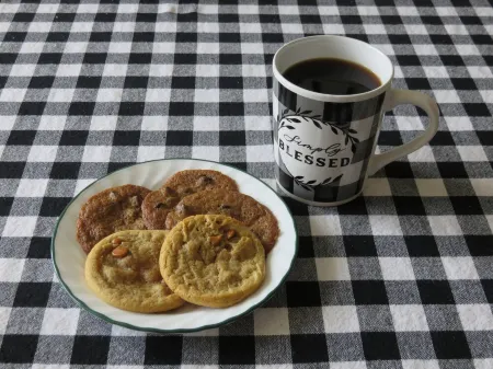 Cozy Family Sized Cottage in the Country! 15 minutes to Lancaster City!!