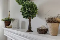 Sunshine House in Mason, Beautiful Cozy Cottage
