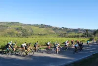 Casa Grazia, quiet nest near the center. free parking all over the street.