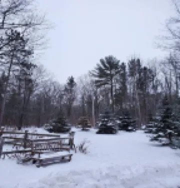 Timber Lodge on Large Wooded Lot mid Door County
