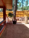 Newly remodeled cabin in the pines w/ firepit, redwood fenced yard, close hiking