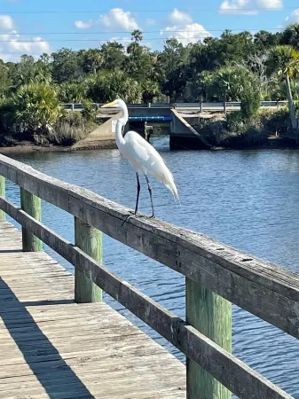 Welcome to This Beautiful 3 Bedroom 2 Bathroom Pool Heated  Home