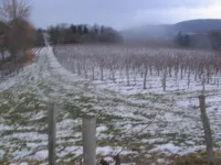 Grand Gîte Maison en Pierre de Taille, Bucolique & Ouverte sur Domaine Viticole
