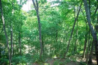 Mammoth Cave, WKU, Barren River Lake, Travel Sports, Corvette